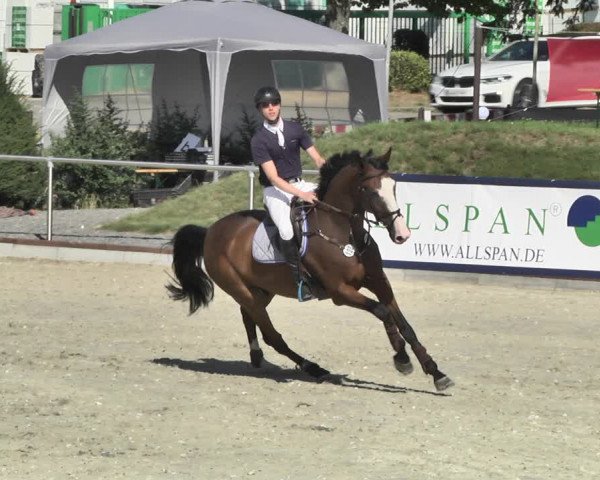 Reitturnier Durmersheim-Hardt 2018