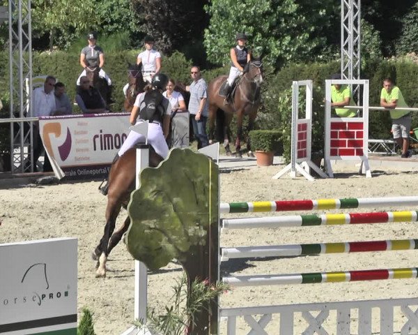 Reitturnier Durmersheim-Hardt 2018