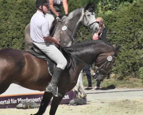 Reitturnier Durmersheim-Hardt 2018