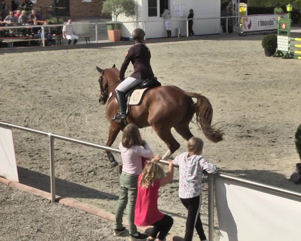 Reitturnier Durmersheim-Hardt 2018
