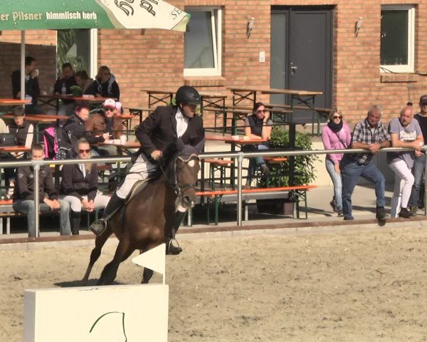 Reitturnier Durmersheim-Hardt 2018