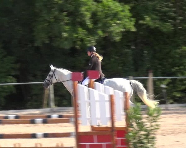 Reitturnier Weilheim/Teck 2018