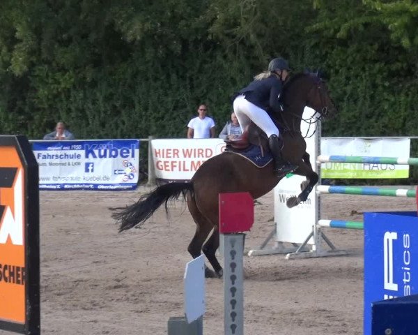 Reitturnier Weilheim/Teck 2018