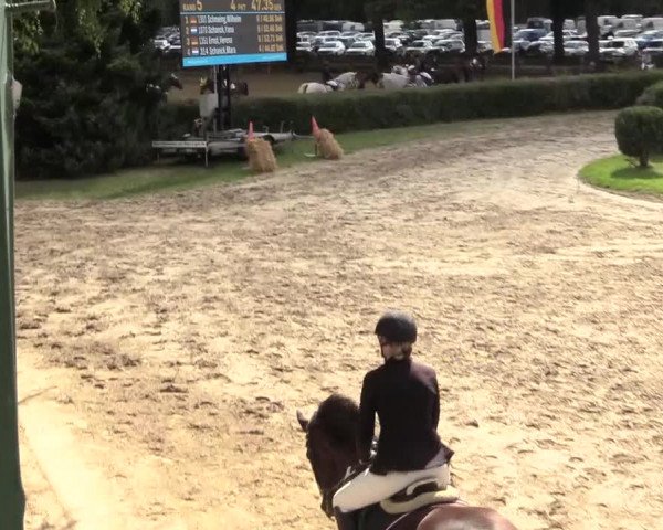 Reitturnier Recklinghausen 2018