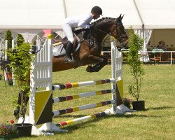 jumper Santourino (Hanoverian, 2012, from Stolzenberg)