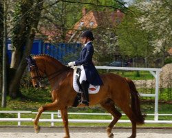 dressage horse Ronaldo 201 (Danish Warmblood, 2006, from Glock's Romanov)