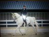 dressage horse Rodwell (Hessian Warmblood, 1999, from Rodman)