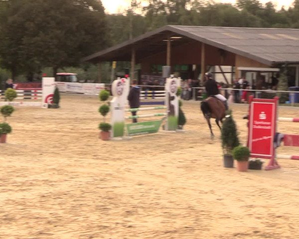 Reitturnier Duderstadt 2018