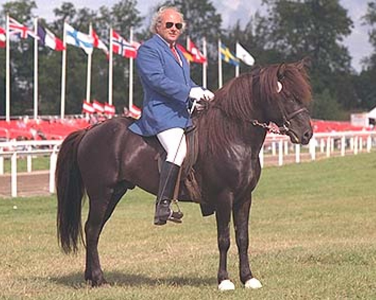 Deckhengst Örn frá Akureyri (Islandpferd, 1984, von Hraunar frá Sauðárkróki)