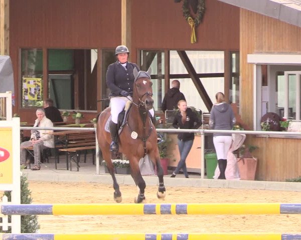 Reitturnier Duderstadt 2018