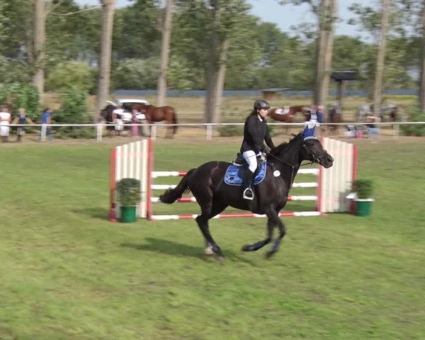 Reitturnier Reckahn 2018