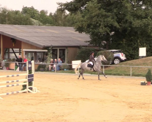 Reitturnier Duderstadt 2018
