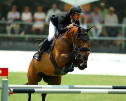 Springpferd Hector V.d. Papendijk (Belgisches Warmblut, 2007, von Wandor van de Mispelaere D'10)