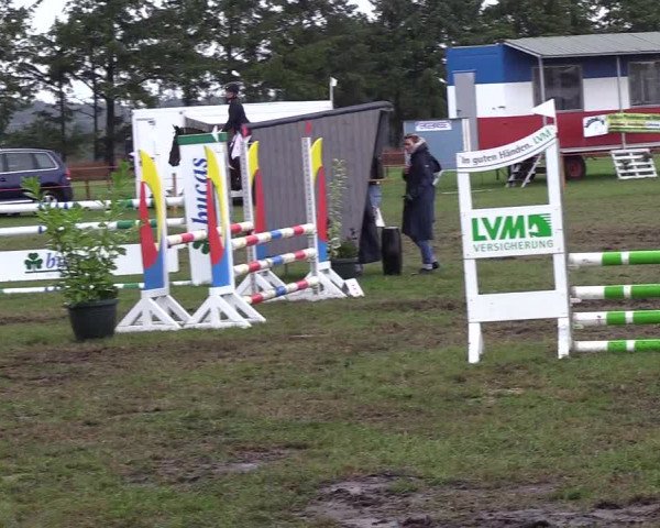 Reitturnier Löwenstedt 2018
