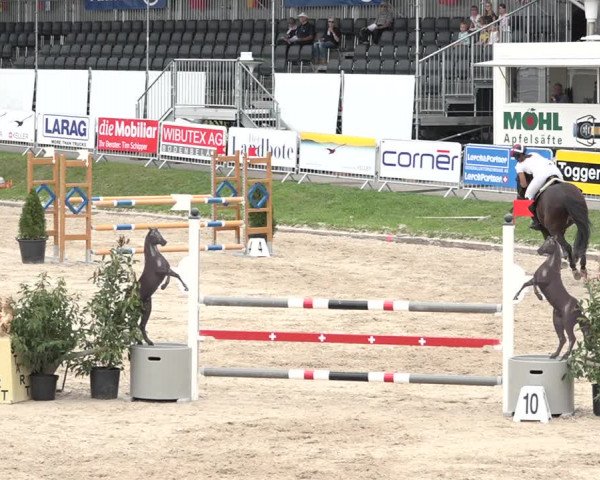 FEI Reitturnier Humlikon (SUI) 2018