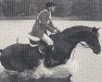 stallion Rittersporn (Trakehner, 1976, from Mazagran)