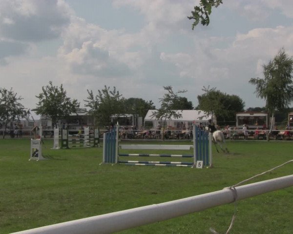 Reitturnier Berlin-Malchow 2018