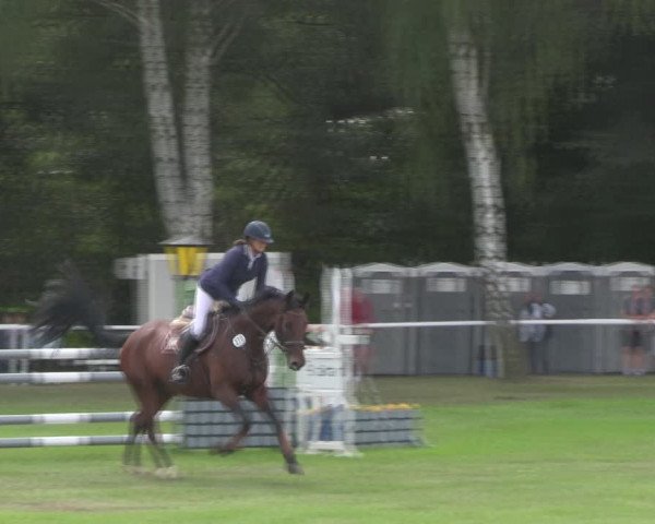 Reitturnier Berlin-Malchow 2018