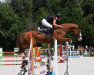 jumper Cain Maro (German Sport Horse, 2016, from Chetlag)