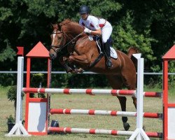 jumper Parimee (Hanoverian, 2009, from Perigueux)