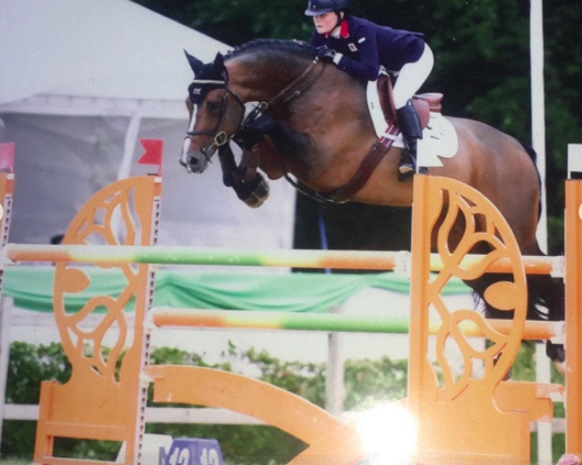 stallion Urlevent du Bary (Selle Français, 2008, from Hurlevent de Breka)