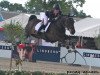 jumper Sultan du Bary (French Pony, 2006, from Versailles II)