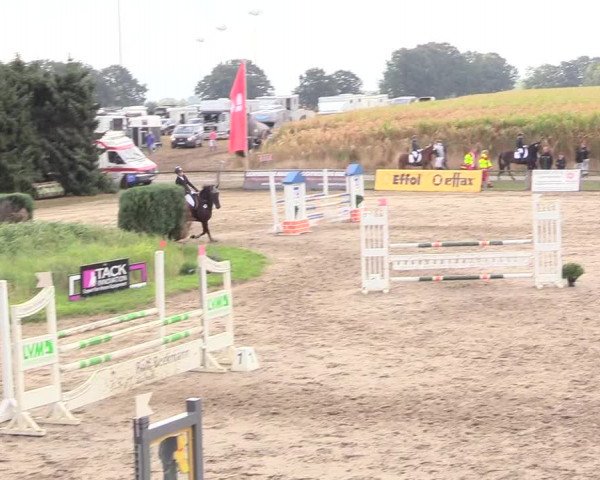 Reitturnier Recklinghausen 2018