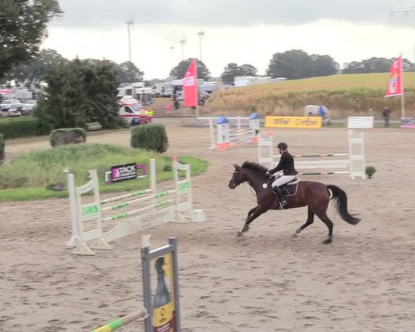 Reitturnier Recklinghausen 2018