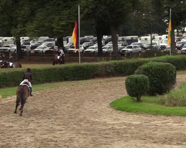 Reitturnier Recklinghausen 2018