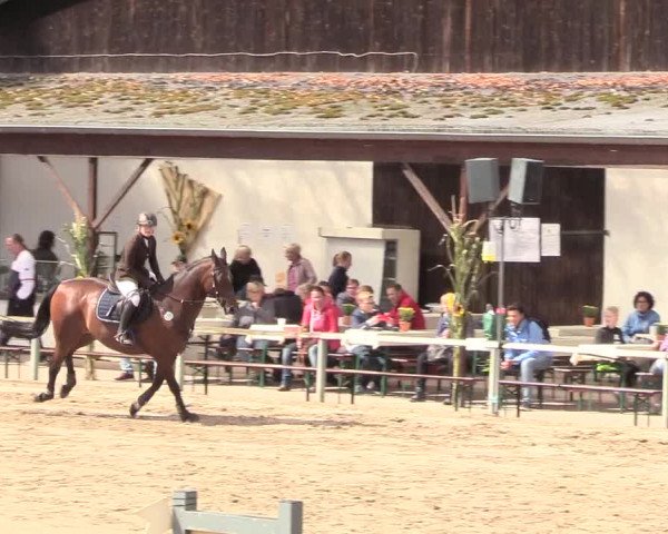 Reitturnier Recklinghausen 2018