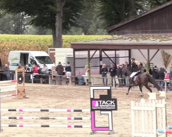 Reitturnier Recklinghausen 2018