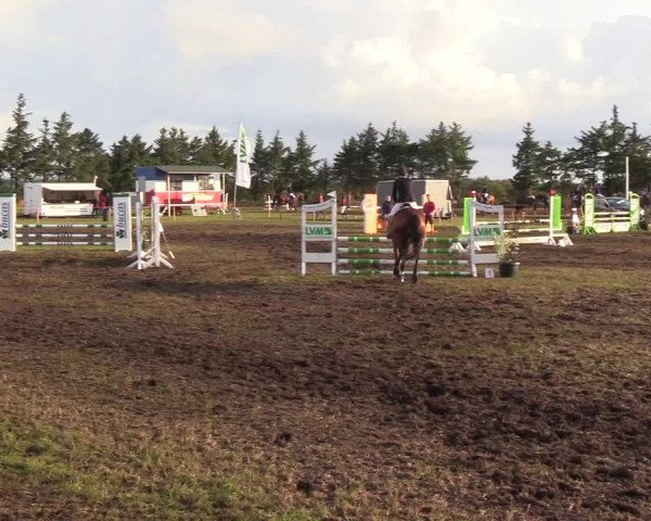 Reitturnier Löwenstedt 2018