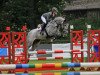 jumper Grey Quidam PJ (Hanoverian, 2012, from Grey Top)