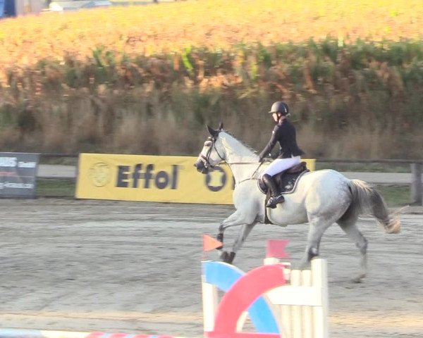 Reitturnier Recklinghausen 2018