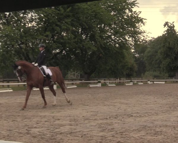 Reitturnier Recklinghausen 2018