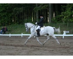 broodmare Gillian (Holländisches riding ponies, 1994, from Kaoma)