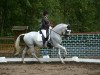 jumper Maestoso Herceg 2 (Lipizzaner, 2007, from Maestoso XXX-37)