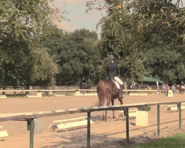 Reitturnier Recklinghausen 2018