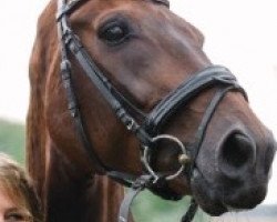 dressage horse Florello (Oldenburg, 2005, from Florencio I)