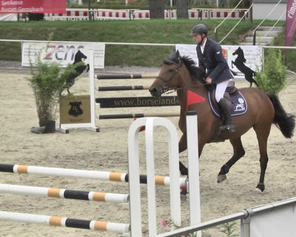 Reitturnier Durmersheim-Hardt 2018