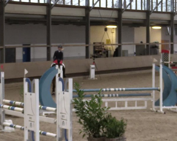 Reitturnier Langenfeld - Gut Langfort 2021