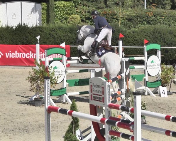 Reitturnier Durmersheim-Hardt 2018