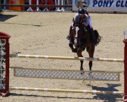 broodmare Kaskada (Bulgarian Warmblood, 2006, from Kotrak)