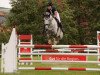 jumper Grand Plaisir F (Hanoverian, 2008, from Stalypso)