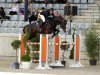 jumper Cicero 117 (Oldenburg show jumper, 2009, from Caspar (Berlin))