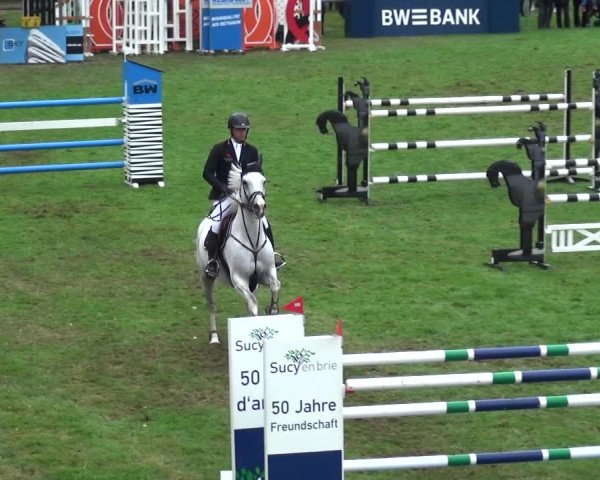 Reitturnier Bietigheim-Bissingen 2018
