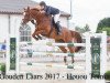 jumper Cookie 52 (Hanoverian, 2006, from Coupe de Coeur 2)