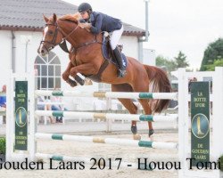 jumper Cookie 52 (Hanoverian, 2006, from Coupe de Coeur 2)