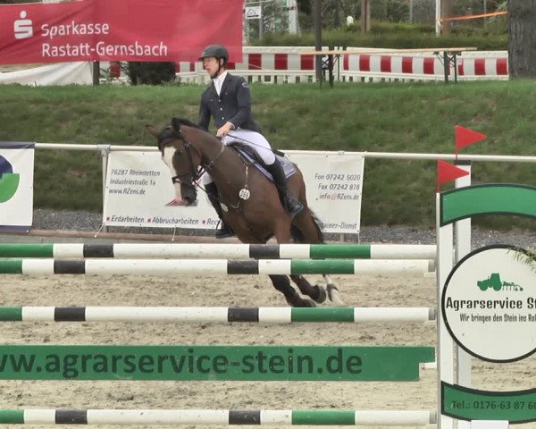 Reitturnier Durmersheim-Hardt 2018