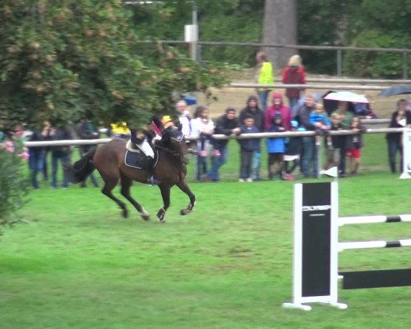 Reitturnier Bietigheim-Bissingen 2018
